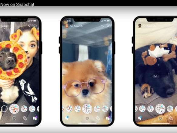 Snapchat、ネコ用に続き犬用レンズをリリース